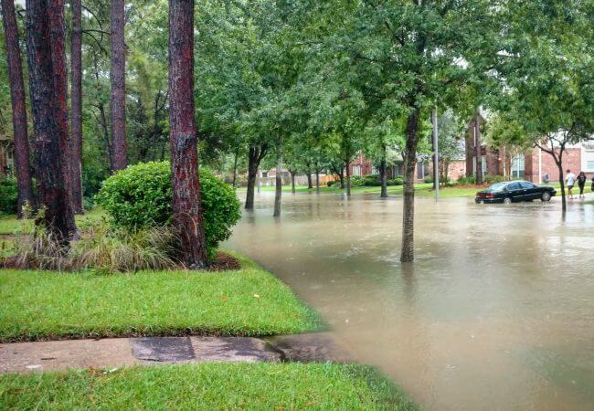 Four Ways Nurses Can Help After Harvey