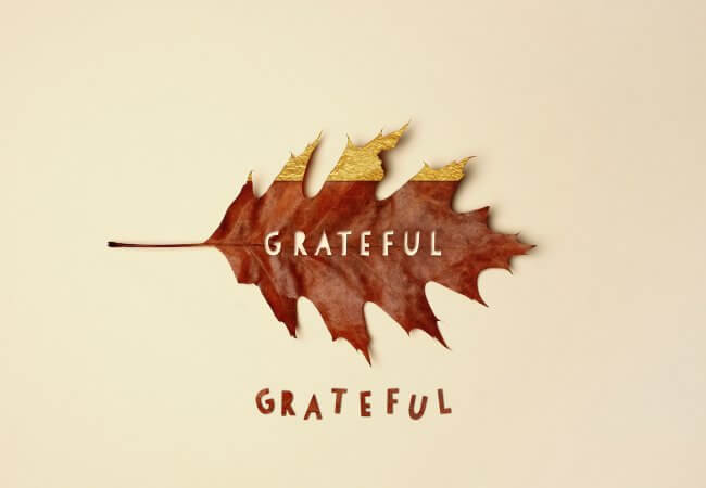 Brown fall oak leaf dipped in gold leaf with cutout text reading grateful arranged on an off white background.